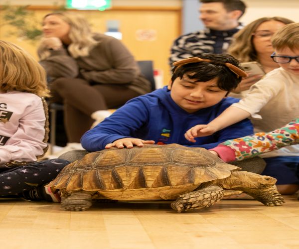 One World Animals - Fleet — event image
